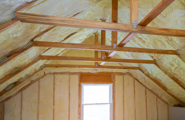 Best Types of Insulation in Ivanhoe, CA
