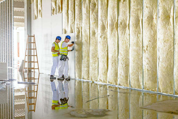 Best Insulation for Specific Applications in Ivanhoe, CA